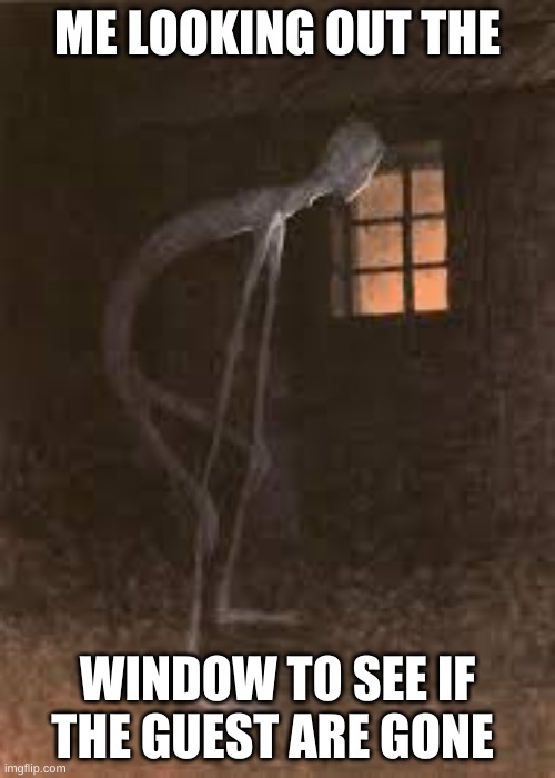 Why not | ME LOOKING OUT THE; WINDOW TO SEE IF THE GUEST ARE GONE | image tagged in memes | made w/ Imgflip meme maker