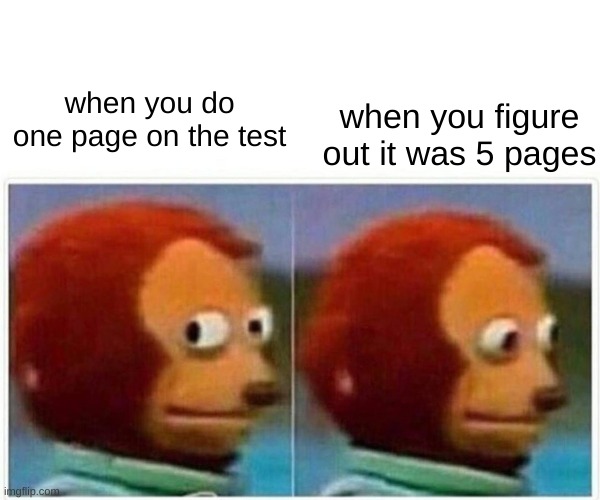 Monkey Puppet Meme | when you figure out it was 5 pages; when you do one page on the test | image tagged in memes,monkey puppet | made w/ Imgflip meme maker