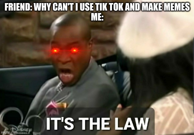 It's the law | FRIEND: WHY CAN'T I USE TIK TOK AND MAKE MEMES
ME: | image tagged in it's the law | made w/ Imgflip meme maker
