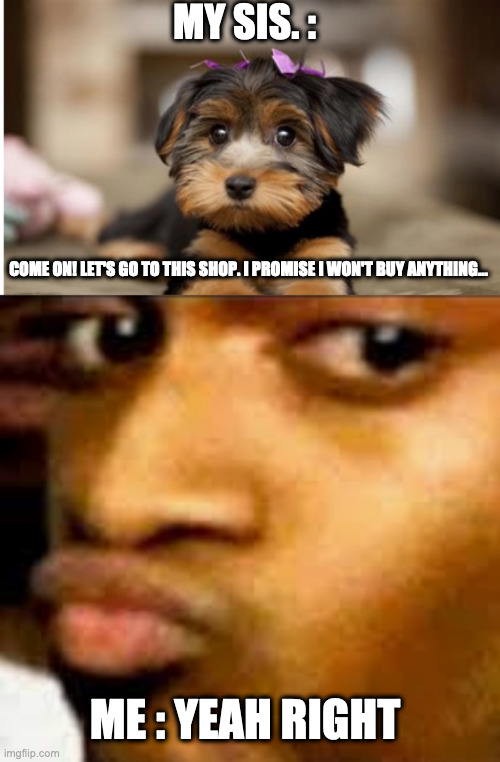 The shopping story | MY SIS. :; COME ON! LET'S GO TO THIS SHOP. I PROMISE I WON'T BUY ANYTHING... ME : YEAH RIGHT | image tagged in innocent looking puppy | made w/ Imgflip meme maker
