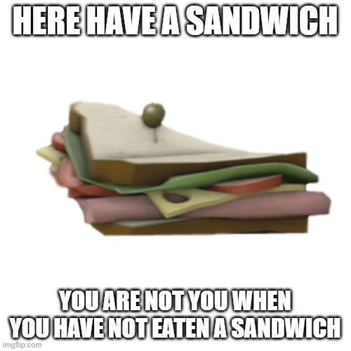 HERE HAVE A SANDWICH YOU ARE NOT YOU WHEN YOU HAVE NOT EATEN A SANDWICH | made w/ Imgflip meme maker