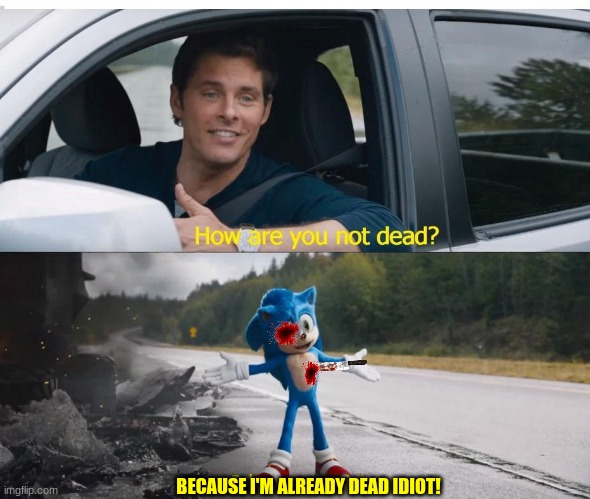sonic how are you not dead | BECAUSE I'M ALREADY DEAD IDIOT! | image tagged in sonic how are you not dead | made w/ Imgflip meme maker