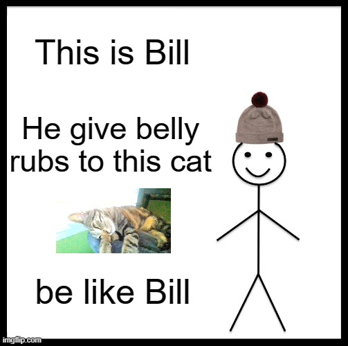 Be Like Bill Meme | This is Bill; He give belly rubs to this cat; be like Bill | image tagged in memes,be like bill | made w/ Imgflip meme maker