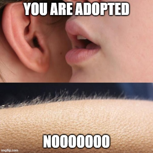 Whisper and Goosebumps | YOU ARE ADOPTED; NOOOOOOO | image tagged in whisper and goosebumps | made w/ Imgflip meme maker