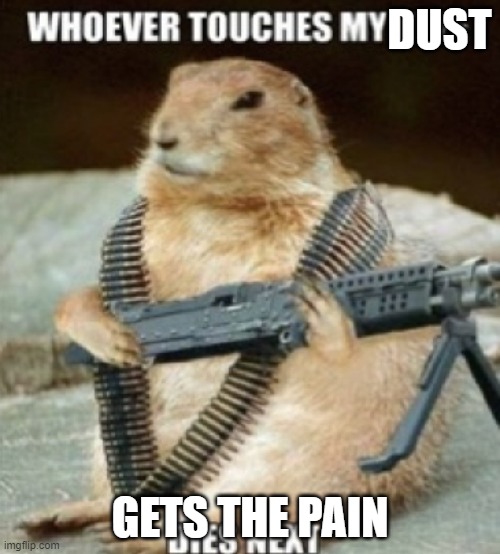 squirrel gun | DUST; GETS THE PAIN | image tagged in squirrel gun | made w/ Imgflip meme maker