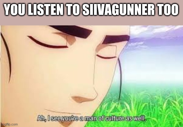 Ah,I see you are a man of culture as well | YOU LISTEN TO SIIVAGUNNER TOO | image tagged in ah i see you are a man of culture as well | made w/ Imgflip meme maker