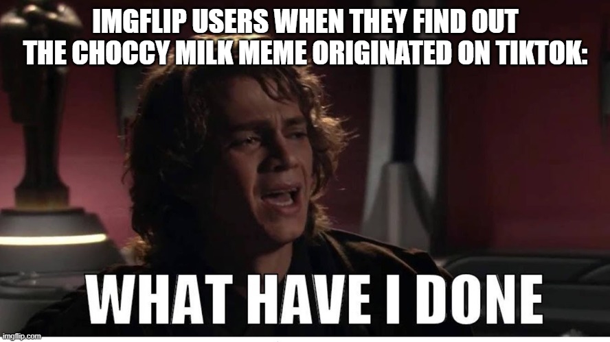 what have we done |  IMGFLIP USERS WHEN THEY FIND OUT THE CHOCCY MILK MEME ORIGINATED ON TIKTOK: | image tagged in anakin what have i done | made w/ Imgflip meme maker