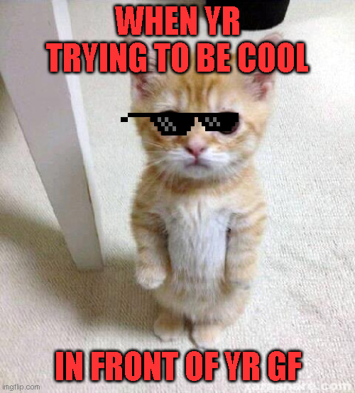 cat | WHEN YR TRYING TO BE COOL; IN FRONT OF YR GF | image tagged in memes,cute cat | made w/ Imgflip meme maker