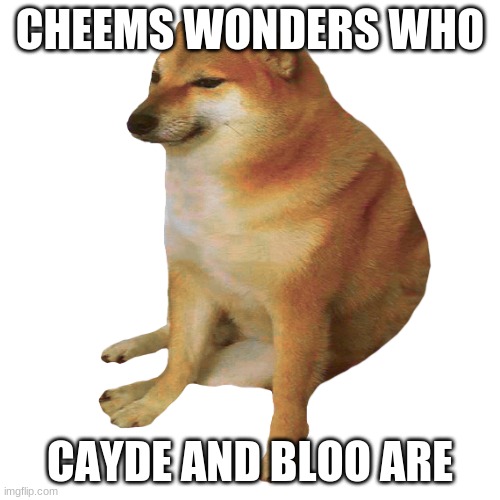 cheems | CHEEMS WONDERS WHO CAYDE AND BLOO ARE | image tagged in cheems | made w/ Imgflip meme maker