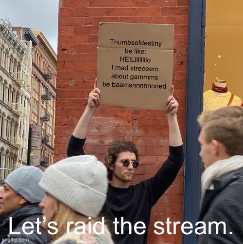 Thumbsofdestiny be like: HEILllllllllo I mad streeeem about gammms be baamsnnnnnnned; Let’s raid the stream. | image tagged in memes,guy holding cardboard sign | made w/ Imgflip meme maker