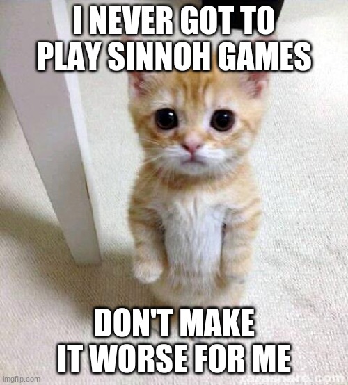 Cute Cat | I NEVER GOT TO PLAY SINNOH GAMES; DON'T MAKE IT WORSE FOR ME | image tagged in memes,cute cat | made w/ Imgflip meme maker