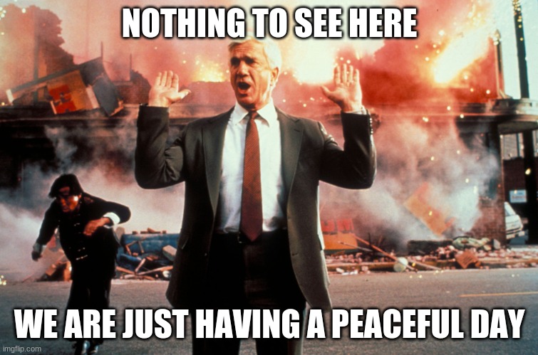 Nothing Here.Just a Peaceful Day | NOTHING TO SEE HERE; WE ARE JUST HAVING A PEACEFUL DAY | image tagged in nothing to see here,this is fine,peaceful,oh wow are you actually reading these tags,funny,wow look nothing | made w/ Imgflip meme maker