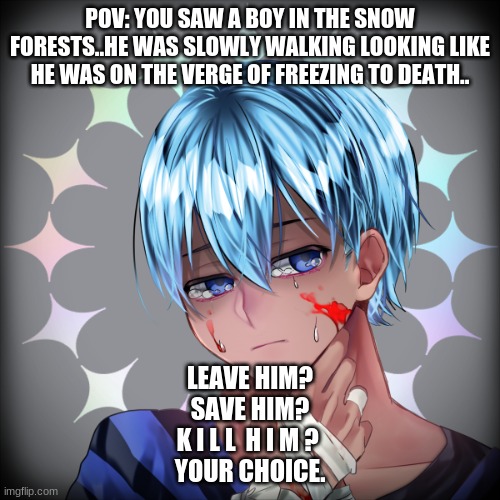 PTS Roleplay | POV: YOU SAW A BOY IN THE SNOW FORESTS..HE WAS SLOWLY WALKING LOOKING LIKE HE WAS ON THE VERGE OF FREEZING TO DEATH.. LEAVE HIM?
SAVE HIM?
K I L L  H I M ? 
YOUR CHOICE. | image tagged in pts | made w/ Imgflip meme maker