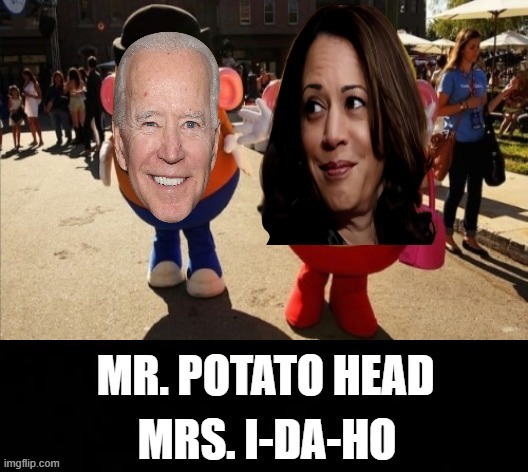 Mr. Potato Head  Mrs.  Id-A-Ho! | image tagged in stupid liberals,morons,idiots,biden,kamala harris | made w/ Imgflip meme maker