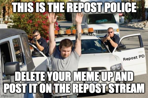 Repost Police | THIS IS THE REPOST POLICE DELETE YOUR MEME UP AND POST IT ON THE REPOST STREAM | image tagged in repost police | made w/ Imgflip meme maker