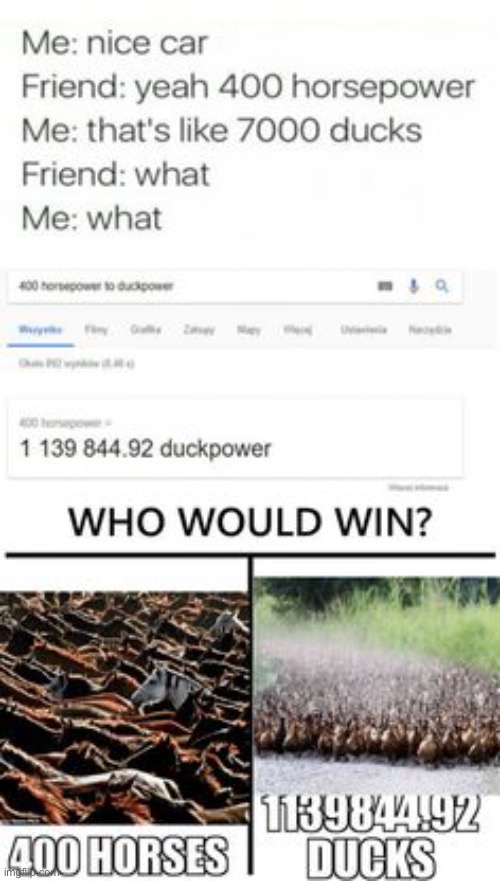 That’s a lot of chickens | image tagged in duck | made w/ Imgflip meme maker