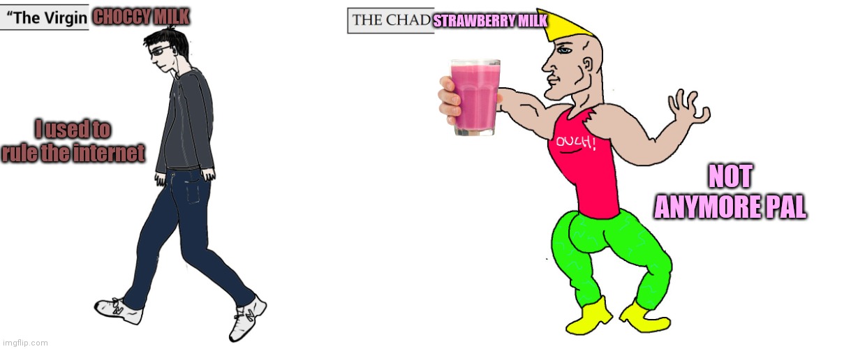 The Virgin and Chad Milk edition | CHOCCY MILK; STRAWBERRY MILK; I used to rule the internet; NOT ANYMORE PAL | image tagged in how choccy milk used to rule the internet | made w/ Imgflip meme maker