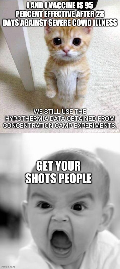 johnson and johnson approval | J AND J VACCINE IS 95 PERCENT EFFECTIVE AFTER 28 DAYS AGAINST SEVERE COVID ILLNESS; WE STILL USE THE HYPOTHERMIA DATA OBTAINED FROM CONCENTRATION CAMP EXPERIMENTS. GET YOUR SHOTS PEOPLE | image tagged in memes,cute cat,angry baby,covid-19 | made w/ Imgflip meme maker