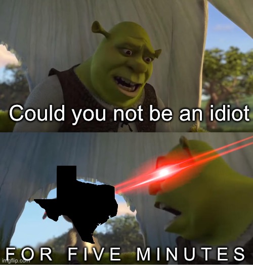 Texas. No. Please. No. | Could you not be an idiot; F O R   F I V E   M I N U T E S | image tagged in shrek for five minutes | made w/ Imgflip meme maker