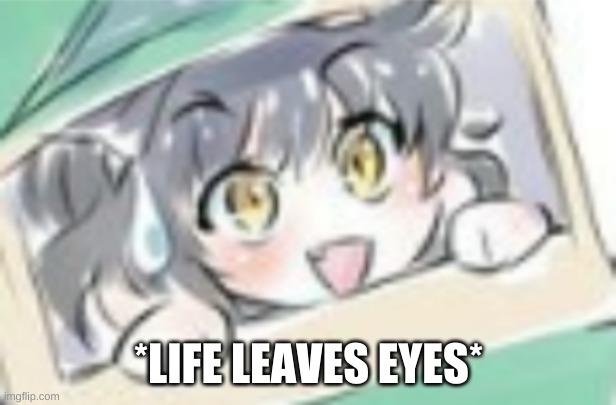 Extremely nervous kitten time | *LIFE LEAVES EYES* | image tagged in extremely nervous kitten time | made w/ Imgflip meme maker