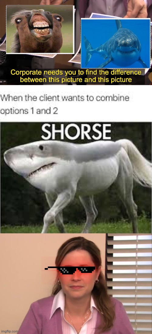 Shorse | image tagged in there the same picture,shark,horse,shorse,combining,join | made w/ Imgflip meme maker