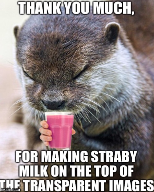 Thank you ( continue using straby milk instead of choccy milk ? you are helping imgflip and getting rid of choccy milk) | image tagged in thank you everyone,thank you mario,thank you lord otter,thank you mr helpful,thank you notes jimmy fallon,thank you | made w/ Imgflip meme maker