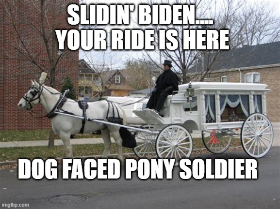 Slidin' Biden Bandwagon for Losers | SLIDIN' BIDEN....  YOUR RIDE IS HERE; DOG FACED PONY SOLDIER | image tagged in one horse pony,biden,loser,incompetence | made w/ Imgflip meme maker