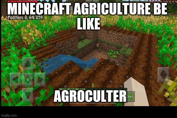agrocultre | MINECRAFT AGRICULTURE BE 
LIKE; AGROCULTER | image tagged in memes,minecraft | made w/ Imgflip meme maker