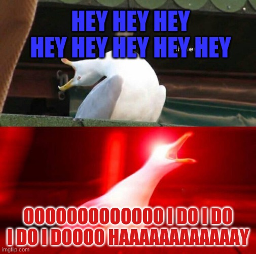 The Helpless Transition Portrayed by Seagull | HEY HEY HEY HEY HEY HEY HEY HEY; OOOOOOOOOOOOO I DO I DO I DO I DOOOO HAAAAAAAAAAAAY | image tagged in inhaling seagull | made w/ Imgflip meme maker