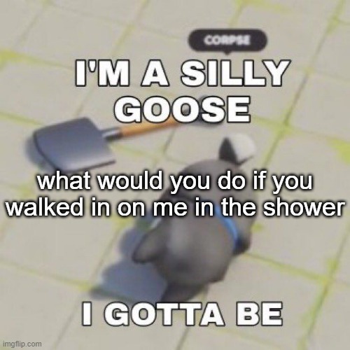 silly goose | what would you do if you walked in on me in the shower | image tagged in silly goose | made w/ Imgflip meme maker