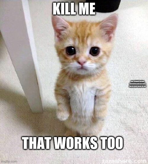 Cute Cat | KILL ME; I WILL SLAUGHTER YOU UNTIL YOUR MOTHERS ASHES ARE BIGGER THAN THE PIECES YOU ARE PUT INTO; THAT WORKS TOO | image tagged in memes,cute cat | made w/ Imgflip meme maker