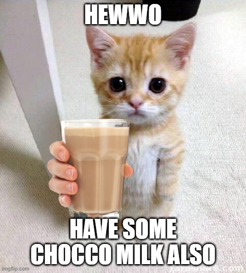 nice bud | HEWWO; HAVE SOME CHOCCO MILK ALSO | image tagged in memes,cute cat | made w/ Imgflip meme maker