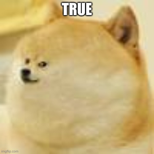 The meme of all memes  | TRUE | image tagged in the meme of all memes | made w/ Imgflip meme maker