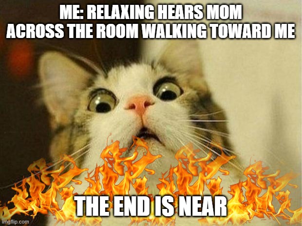 Scared Cat Meme | ME: RELAXING HEARS MOM ACROSS THE ROOM WALKING TOWARD ME; THE END IS NEAR | image tagged in memes,scared cat | made w/ Imgflip meme maker