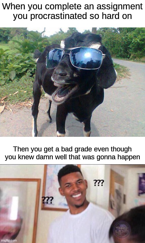When you complete an assignment you procrastinated so hard on; Then you get a bad grade even though you knew damn well that was gonna happen | image tagged in project,school,hell yeah goat,black guy confused,procrastination,memes | made w/ Imgflip meme maker