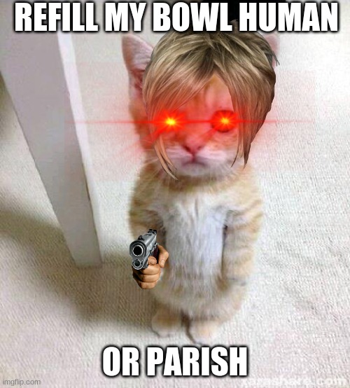FOOD OR DEATH | REFILL MY BOWL HUMAN; OR PARISH | image tagged in memes,cute cat | made w/ Imgflip meme maker