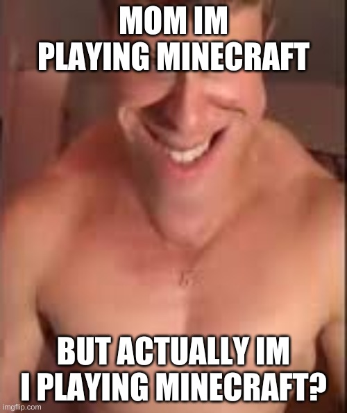 bababoi | MOM IM PLAYING MINECRAFT; BUT ACTUALLY IM I PLAYING MINECRAFT? | image tagged in minecraft | made w/ Imgflip meme maker