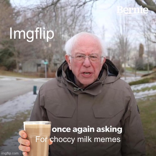 Imgflip now | Imgflip; For choccy milk memes | image tagged in memes,bernie i am once again asking for your support | made w/ Imgflip meme maker