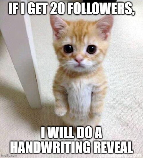 20 followers=handwriting reveal. | IF I GET 20 FOLLOWERS, I WILL DO A HANDWRITING REVEAL | image tagged in memes,cute cat,face | made w/ Imgflip meme maker