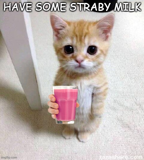 Ŝ̸̰̫̱̲̻̩͛̚͝ţ̸̡̩͔̫̠̣̬̞̅͊̀̚r̸̝̖̲̟̣͇̈̓͑́͋̚ȁ̵̻̪̻͖̃̀̀͆̿̌͝b̷̠͇̖͙͙͑̏̽̅̿͆̔͛͘y̶̡̩͔͚͆ ̸̳̝̱͔͎̙͌m̸͚̗͙̍̂̔i̴̿́͌̽͠ͅl̸̗̻͕̇̾̕͜k̸̹͙̼̲̤͎̪̰̖̂̃͜͠  | HAVE SOME STRABY MILK | image tagged in memes,cute cat | made w/ Imgflip meme maker