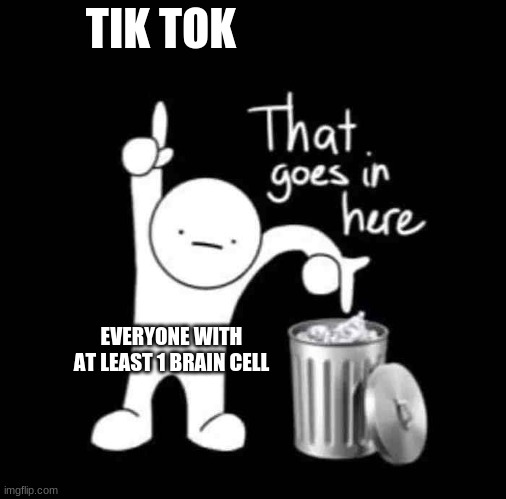 that goes in here | TIK TOK EVERYONE WITH AT LEAST 1 BRAIN CELL | image tagged in that goes in here | made w/ Imgflip meme maker