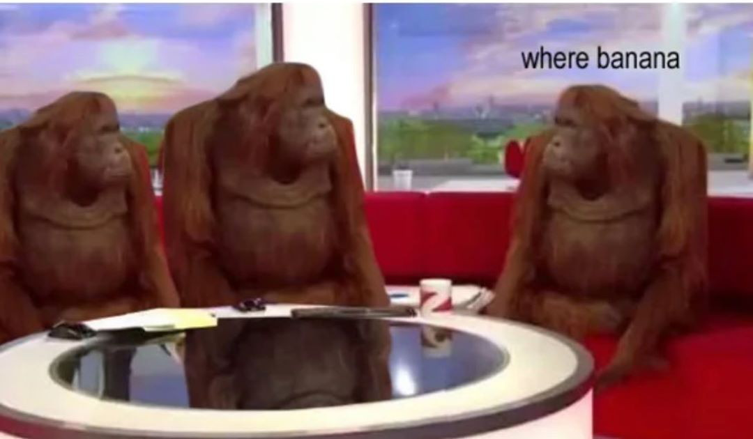 Three monkeys Blank Meme Template