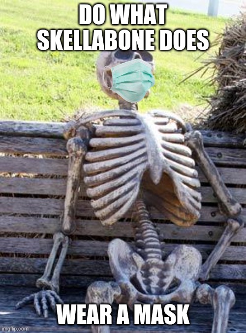 Waiting Skeleton Meme | DO WHAT SKELLABONE DOES; WEAR A MASK | image tagged in memes,waiting skeleton | made w/ Imgflip meme maker