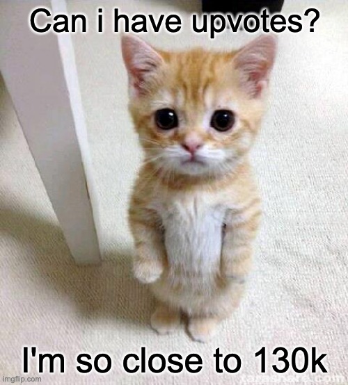 Please? | Can i have upvotes? I'm so close to 130k | image tagged in memes,cute cat,funny | made w/ Imgflip meme maker