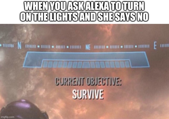 Current Objective: Survive | WHEN YOU ASK ALEXA TO TURN ON THE LIGHTS AND SHE SAYS NO | image tagged in current objective survive | made w/ Imgflip meme maker