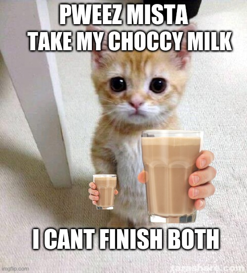 Choccy kitty | PWEEZ MISTA; TAKE MY CHOCCY MILK; I CANT FINISH BOTH | image tagged in memes,cute cat | made w/ Imgflip meme maker