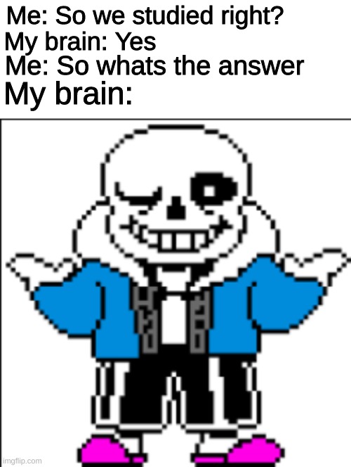 Sans | Me: So we studied right? My brain: Yes; Me: So whats the answer; My brain: | image tagged in sans,undertale,memes,funny,not really a gif,sans undertale | made w/ Imgflip meme maker