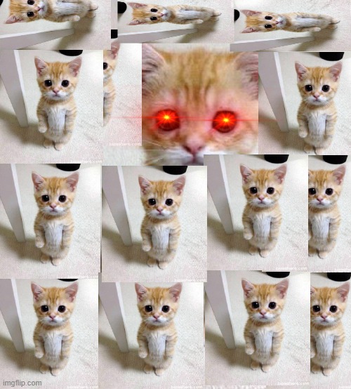 death cat | image tagged in memes,cute cat | made w/ Imgflip meme maker