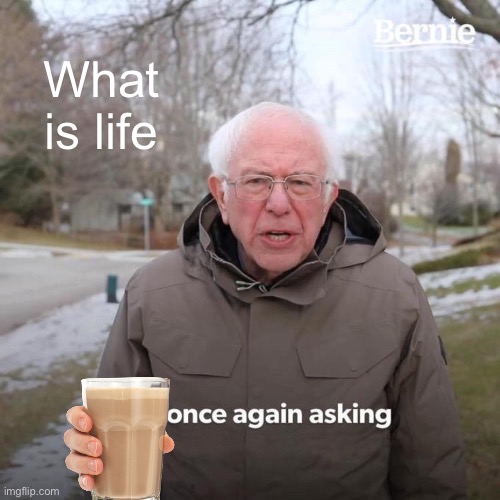 Bernie I Am Once Again Asking For Your Support | What is life | image tagged in memes,bernie i am once again asking for your support | made w/ Imgflip meme maker
