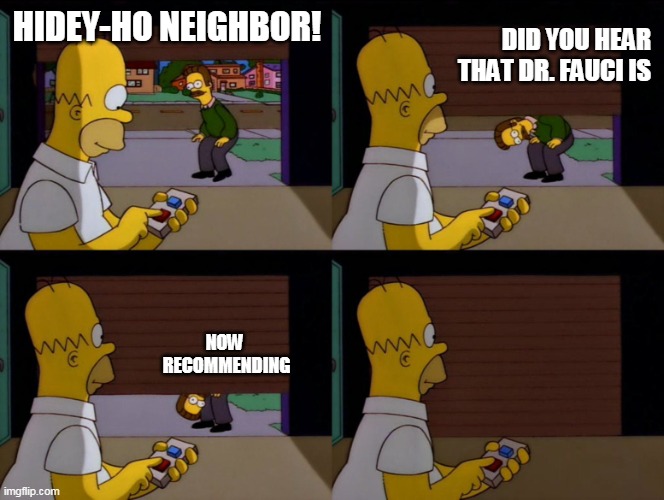 Dr. Quacki | DID YOU HEAR THAT DR. FAUCI IS; HIDEY-HO NEIGHBOR! NOW 
RECOMMENDING | image tagged in homer simpson garage door | made w/ Imgflip meme maker